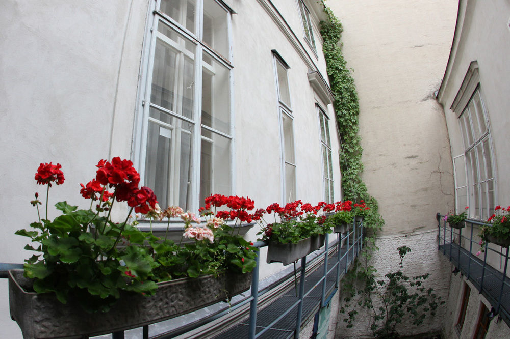 Am Schottenpoint Wien